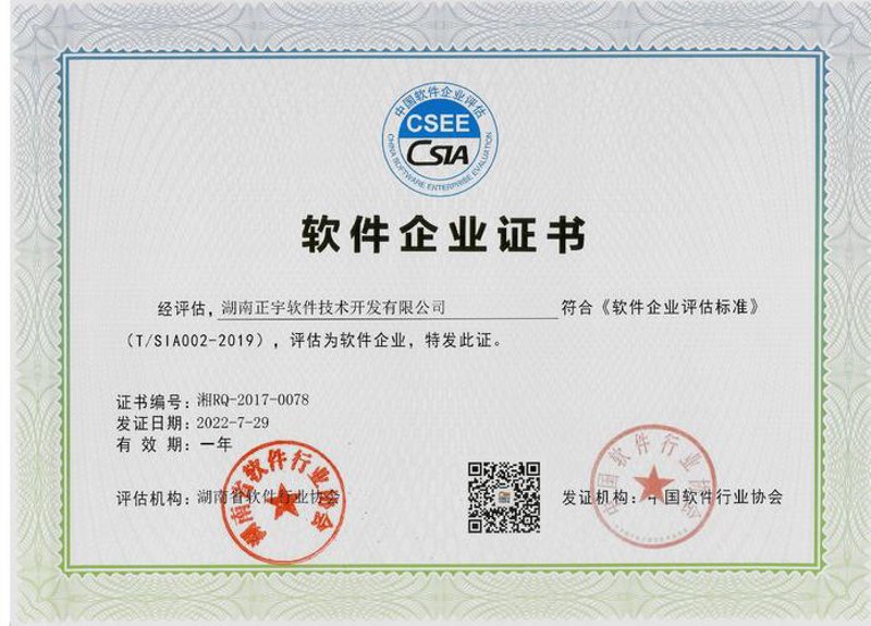 湖南软件开发产业：在数字化转型中的新机遇